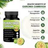 Garcinia Cambogia Multi-Herb Extract 60 Capsules — 2