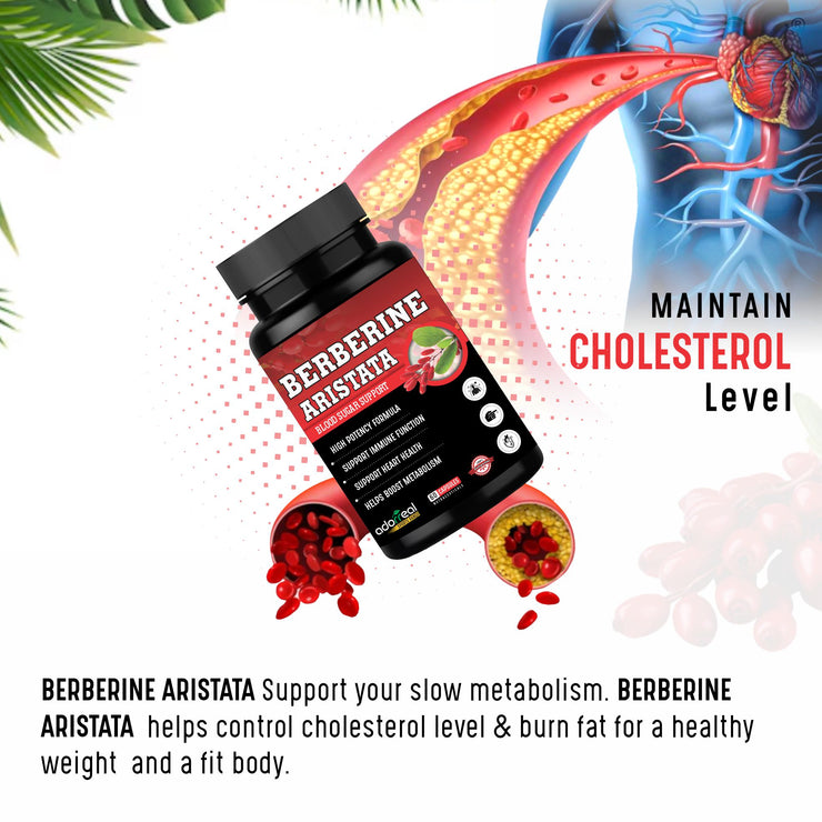Berberine Aristata extract  600mg -60 Caps