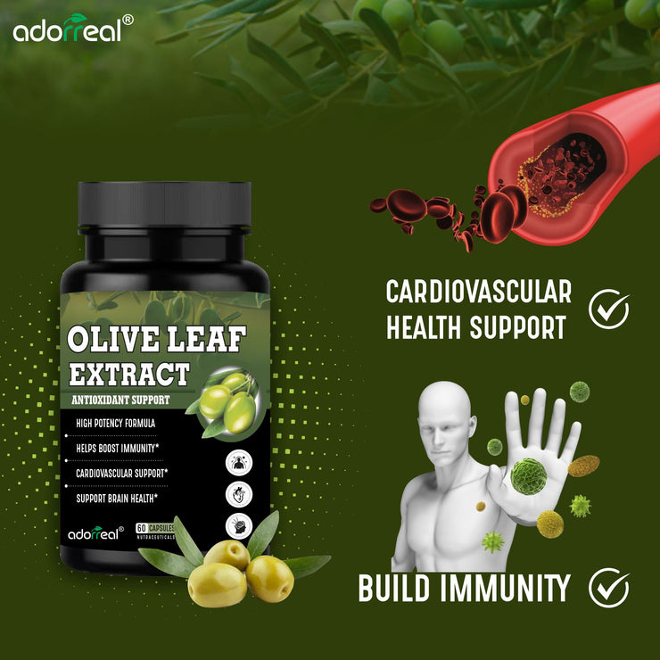 Olive Leaf Extract Supports Healthy Immune, Skin Health (Oleuropein20%)- 60 Capsules