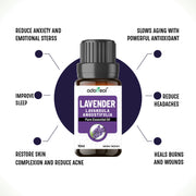 Lavender  Essential oil 10 ml ( pack of 2)