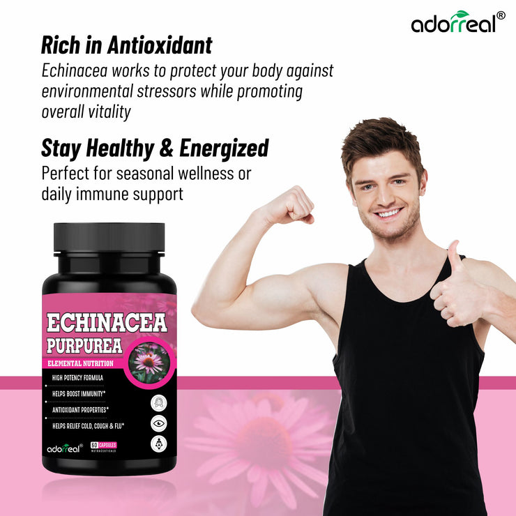 Echinacea  Extract – 60 Capsules