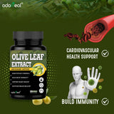 Olive Leaf (Oleuropein20%) Extract — 4