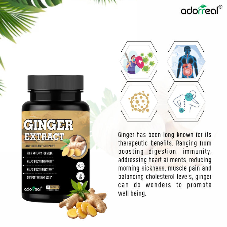Ginger Capsules 600mg – 60 Caps