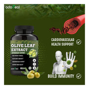 Olive Leaf Extract Supports Healthy Immune, Skin Health (Oleuropein20%)- 120 Capsules