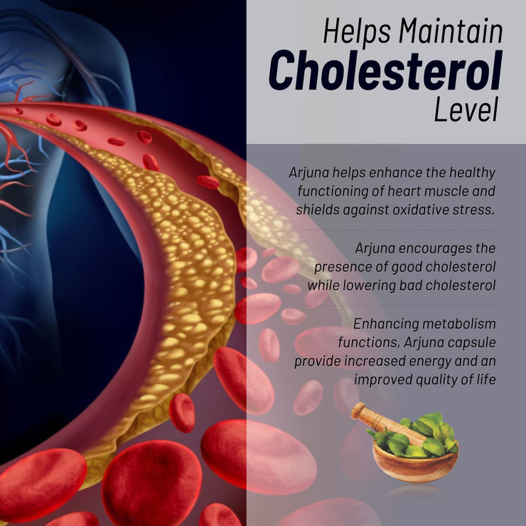 Arjuna Extract 600mg – 60 Caps