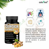 Ginger Extract for Digestive Health,Immunity Support — 4