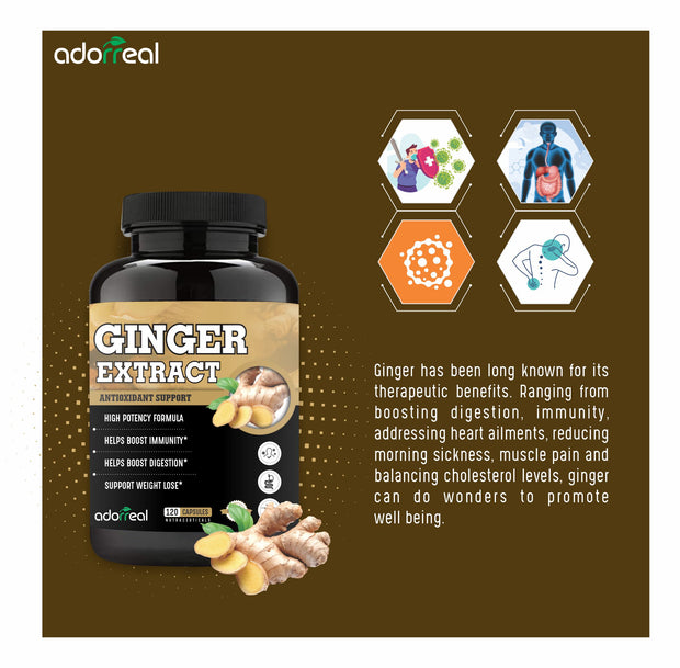 Ginger Extract for Digestive Health, Immunity, Metabolic Profile, Immunity Support-120 Capsules