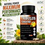 Tribulus Terrestris Extract with Black Pepper — 4