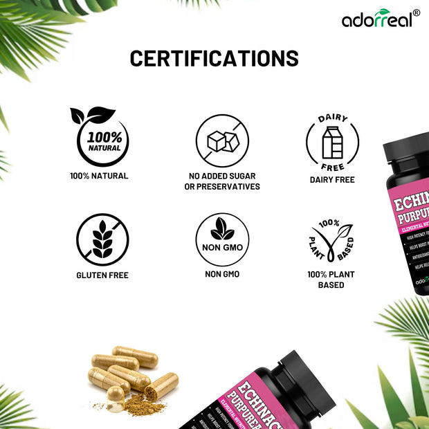 Echinacea  Extract – 60 Capsules