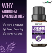 Lavender  Essential oil 10 ml ( pack of 2)