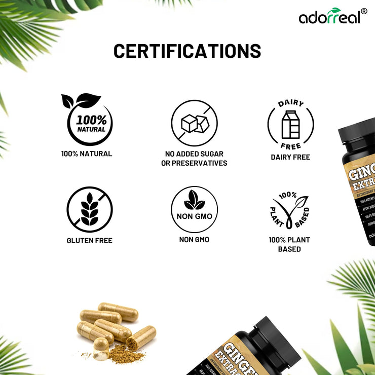 Ginger Capsules 600mg – 60 Caps