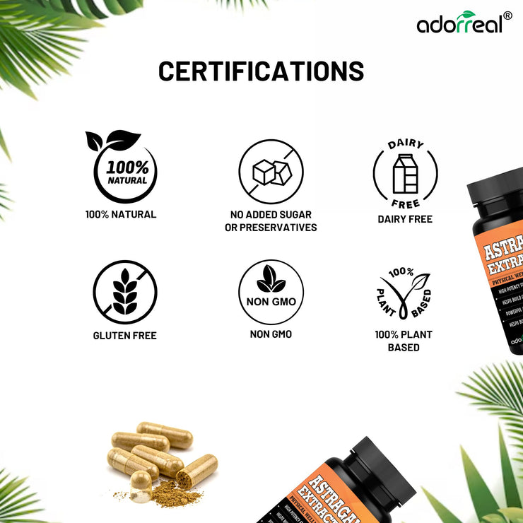 Astragalus Extract -60 Caps