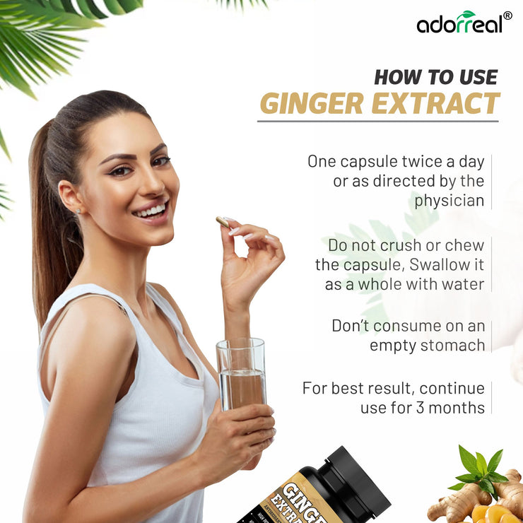 Ginger Extract for Digestive Health, Immunity, Immunity Support-60 Capsules