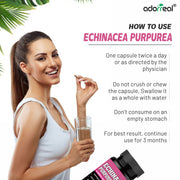 Echinacea  Extract – 60 Capsules