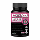 Echinacea Purpurea extract – 60 Capsules — 1